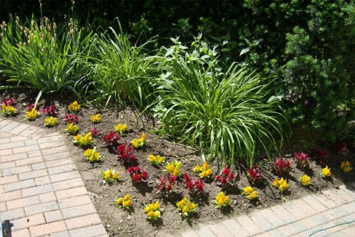 Flower Planting